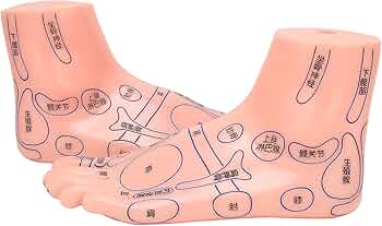 61-a2+QcXfL._AC_UF350,